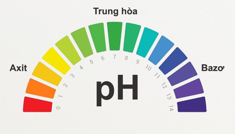 Độ pH là gì? | pH &&nbsp;pOH