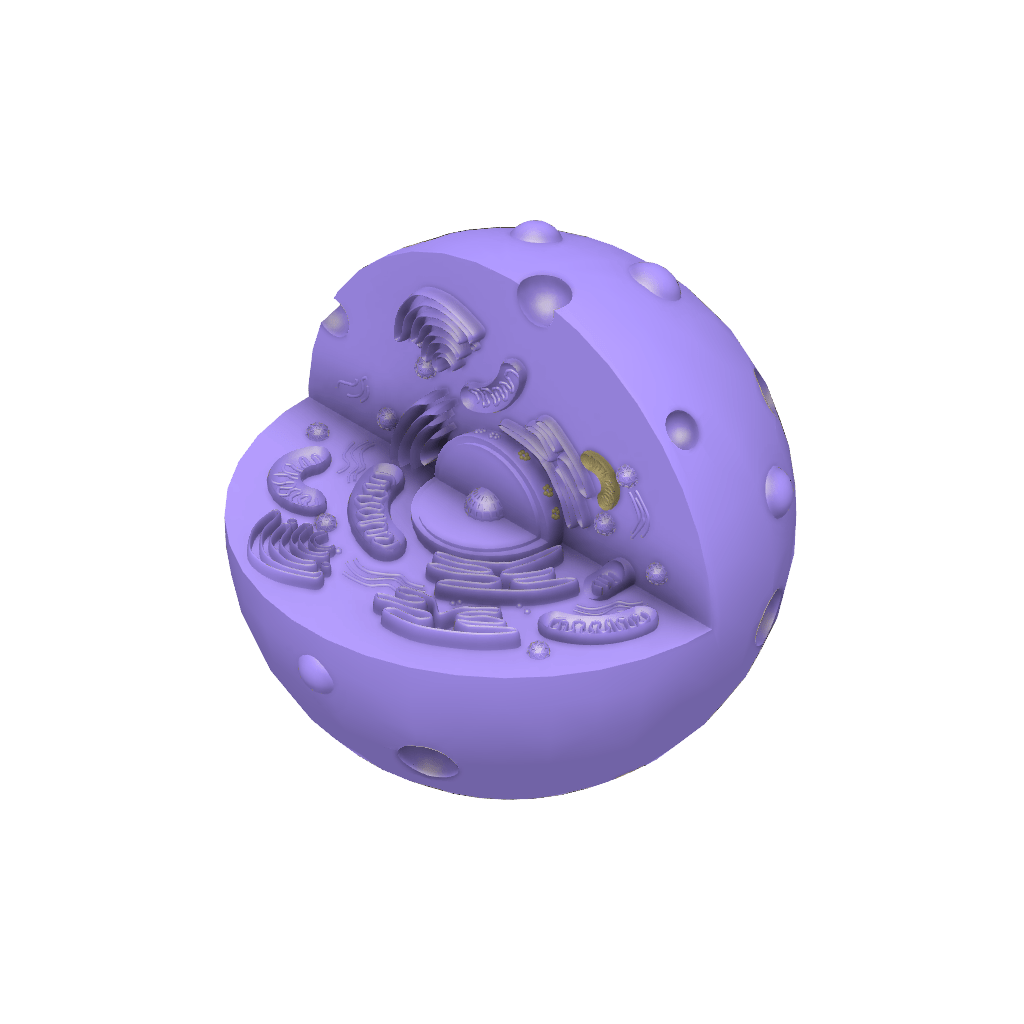 Thành phố của các Tế Bào Động&nbsp;Vật